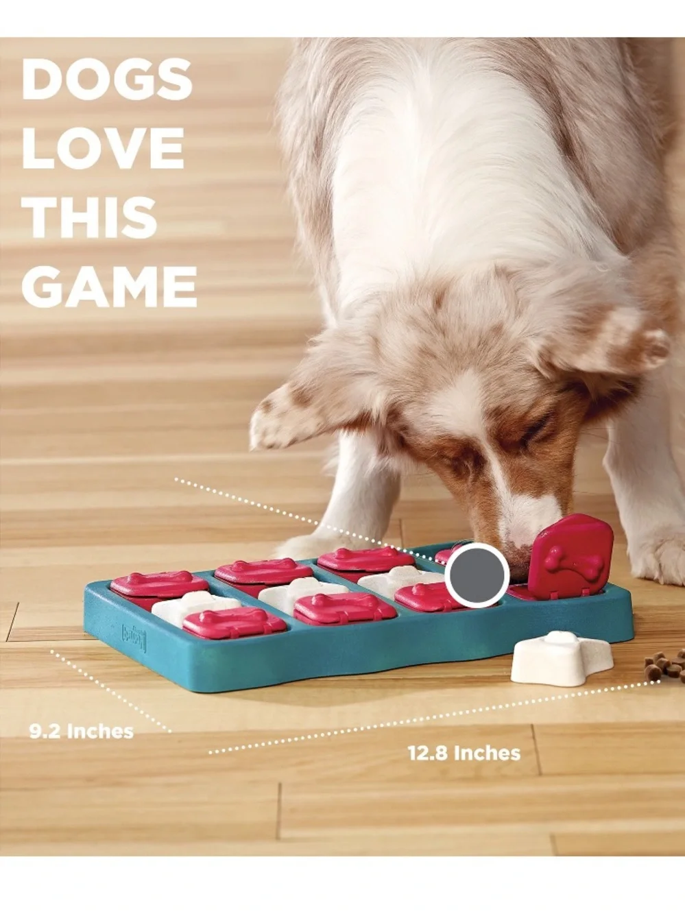 Outward Hound Treat-Dispensing Dog Puzzle